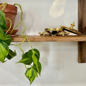 Trudon Polished Bronze, Gold Tone Candle Stand and Top with turtle design